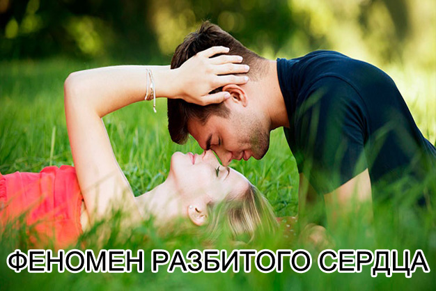 psy-vzaimootnoshenie.jpg